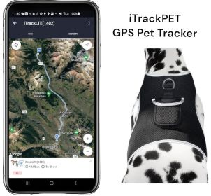 Get Realtime Pet Locations w/ Pet Tracker Mini Cat Dog GPS Tracking Collar Size:S